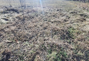 Pest megye Gyál közvetlenül M0, M5 csomópontban, frekventált, beruházásra előkészített 38.590nm fejlesztési telek eladó